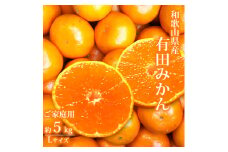 AT6317_【ご家庭用】有田みかん 約5kg Lサイズ【湯浅町】