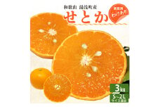 EQ6001_【訳あり 家庭用】和歌山 湯浅町産 せとか 3kg（S～2Lサイズ混合）＜2026年2月下旬発送＞