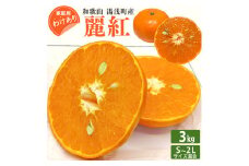 EQ6003_【訳あり 家庭用】和歌山 湯浅町産 麗紅 3kg（S～2Lサイズ混合）＜2026年2月下旬発送＞