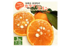 EQ6005_【訳あり 家庭用】【2026年先行予約】和歌山 湯浅町産 カラマンダリン 3kg（S～2Lサイズ混合）＜2026年4月発送＞