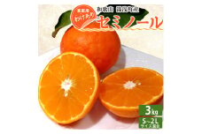 EQ6009_【訳あり 家庭用】【2026年先行予約】和歌山 湯浅町産 セミノール 3kg（S～2Lサイズ混合）＜2026年4月下旬発送＞