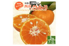 EQ6007_＜先行受付＞【訳あり 家庭用】和歌山 湯浅町産 西南のひかり 3kg（S～2Lサイズ混合）年内発送