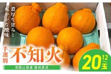 BL6104n_【2026年先行予約】和歌山県産 不知火 12玉～20玉 ふるさと納税 デコポン