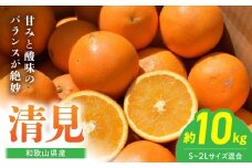 BL6105n_【2026年先行予約】和歌山県産 清見 10kgサイズ混合