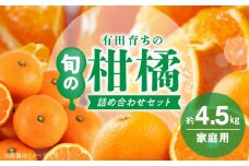 AB7204_（旬の美味）（みかん名産地和歌山有田）有田育ちの ご家庭 旬の柑橘 詰め合わせセット 4.5kg（訳あり）