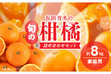 AB7205_（旬の美味）（みかん名産地和歌山有田）有田育ちの ご家庭用 旬の柑橘 詰め合わせセット8kg（訳あり）