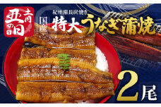 R6102_U_【丑の日までにお届け】紀州備長炭焼き 特大 うなぎ 蒲焼き(国産)約200g×2尾