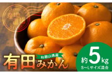 BL6500_【2025年先行予約】産地直送　和歌山県産 有田みかん 5kg