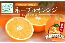 ZE6443_【2026年先行予約】和歌山県産 ネーブルオレンジ 【訳あり 家庭用】3kg サイズ混合【まごころ手選別】
