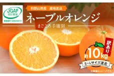 ZE6445_【2026年先行予約】和歌山県産 ネーブルオレンジ 【訳あり 家庭用】10kg サイズ混合 【まごころ手選別】