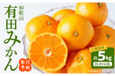 AT6307_【2025年先行予約】ご家庭用　和歌山有田みかん 約5kg (2L、3Lサイズいずれか)【湯浅町】