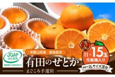 ZE6401n_【2026年先行予約】湯浅町産せとか11～15玉（M～2Lサイズ混合）化粧箱入り秀品【まごころ手選別】