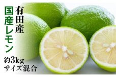 ZD7010_有田産の安心国産レモン約3kg(サイズ混合)