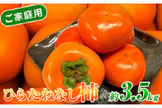 G7113_【2025年先行予約】和歌山秋の味覚 平核無柿（ひらたねなしがき） 3.5kg【家庭用 訳あり】