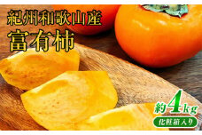 G7111_【2025年 先行予約】和歌山秋の味覚 富有柿 約4kg 化粧箱入