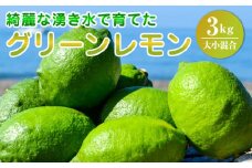 EA6101_綺麗な湧き水で育てたグリーンレモン 3kg (大小混合)