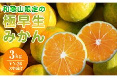 EA6104_和歌山県限定の極早生みかん 3kg (YN-26 大小混合)