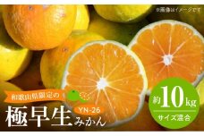 EA6041_和歌山県限定の極早生みかん10kg (YN-26 大小混合)