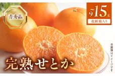 BF6049n_（2026年先行受付）完熟 せとか 青秀品 9～15玉 化粧箱 【ミカン 蜜柑 春みかん 柑橘】