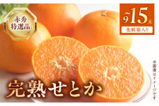 BF6048n_（2026年先行受付）完熟 せとか 赤秀 特選品 9～15玉 化粧箱 【ミカン 蜜柑 春みかん 柑橘】