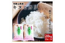 BB6222 _【先行受付】和歌山県産 キヌヒカリ 20kg ( 10kg × 2）2024年産【きぬひかり 送料無料 白米 上白米 国産米 キヌヒカリ お米ギフト 米 精米】