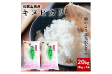 BB6222 _【先行受付】和歌山県産 キヌヒカリ 20kg ( 10kg × 2）2024年産【きぬひかり 送料無料 白米 上白米 国産米 キヌヒカリ お米ギフト 米 精米】