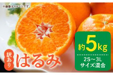 DZ6112_訳あり はるみ 和歌山 有田 2S～3Lサイズ混合 5kg