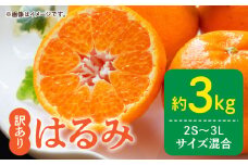 DZ6113_訳あり はるみ 和歌山 有田 2S～3Lサイズ混合 3kg