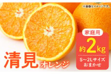 DZ6105_ご家庭用 きよみ 清見オレンジ 和歌山 有田 S～2Lサイズ 大きさお任せ 2kg