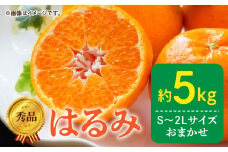 DZ6108_秀品 はるみ 和歌山 有田 S～2Lサイズ 大きさお任せ 5kg