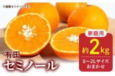 DZ6101_ご家庭用 セミノール 和歌山 有田 S～2Lサイズ 大きさお任せ 2kg
