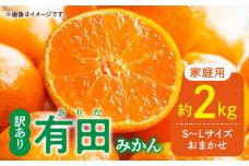 DZ6100_ご家庭用 有田みかん 和歌山 S～Lサイズ 大きさお任せ 2kg