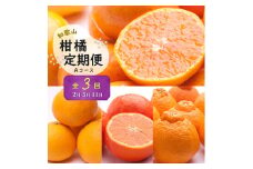 ZH7021_季節の柑橘定期便A【計3回】【和歌山県有田】