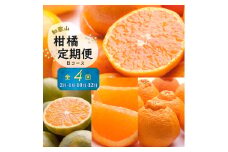 ZH7024_季節の柑橘定期便B【偶数月・計4回】【和歌山県有田】