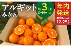 YA1000_完熟 アルギット みかん 3kg S～M サイズ 