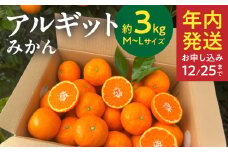 YA1001_完熟 アルギット みかん 3kg M～L サイズ