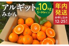 YA1004_完熟 アルギット みかん 10kg S～M サイズ