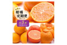 ZH7025_季節の柑橘定期便B【計3回】【和歌山県有田】