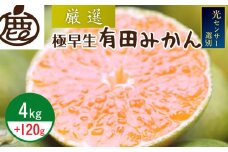ZH7026_＜9月より発送＞厳選 極早生有田みかん4kg+120g（傷み補償分）【YN26・ゆら早生】【光センサー選果】