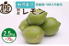 ZH7033_＜9月より発送＞家庭用 黒潮レモン2.5kg+75g（傷み補償分）【和歌山有田産】【防腐剤・WAX不使用、安心の国産レモン】【訳ありレモン】