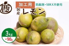 ZH7036_＜9月より発送＞加工用 黒潮レモン3kg+90g（傷み補償分）【和歌山有田産】【防腐剤・WAX不使用、安心の国産レモン】【訳ありレモン】【果汁用】