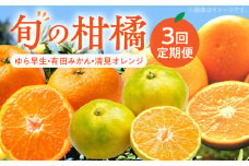 ZD62-T01_旬の柑橘定期便【全3回】