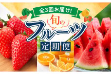 G60-T82_【定期便　全3回】魚鶴商店　旬のフルーツ定期便