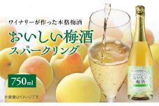 EM6111_おいしい梅酒スパークリング 750ml
