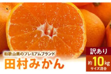 AB7300_有田みかん ご家庭用 田村みかん サイズ混合 約10kg 有田みかん わけあり 訳あり 不揃い 和歌山プレミアムブランドみかん 小玉 中玉 大玉 蜜柑 ミカン フルーツ 果物