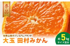 AB7303_ 大玉田村みかん 2L・3Lサイズ 秀品 約5kg _ 和歌山プレミアムブランドみかん  大粒有 大きい 蜜柑 ミカン フルーツ 果物 ギフト お歳暮