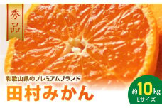 AB7304_ プレミアムブランド 田村みかん Lサイズ 秀品  約10kg _  和歌山県産 蜜柑 ミカン フルーツ 果物 ギフト お歳暮 完熟