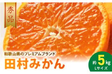 AB7305_ プレミアムブランド 田村みかん Lサイズ 秀品 約5kg  和歌山県産 蜜柑 ミカン フルーツ 果物 ギフト お歳暮 完熟