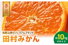 AB7306_ プレミアムブランド 田村みかん Mサイズ 秀品  約10kg _和歌山県産 蜜柑 ミカン フルーツ 果物 ギフト お歳暮 完熟