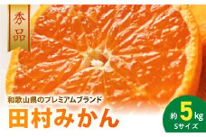 AB7309_プレミアムブランド 田村みかん Sサイズ 秀品  約5kg _  和歌山県産 小玉 小さい 蜜柑 ミカン フルーツ 果物 ギフト お歳暮 完熟